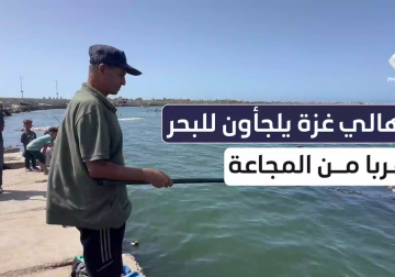 #تقرير | في ظل #المجاعة الخانقة في #قطاع_غزة لجأ كثير من المواطنين إلى البحر بحثًا عن طعام يسدّ رمق أطفالهم الصيد لم يعد مهنة بل وسيلة للنجاة.. مراسل فلسطين اليوم خميس أبو حصيرة التقى ببعضهم وأعد التقرير التالي..
