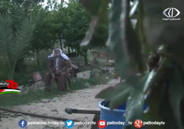 تقرير| ذكريات حاج عن قريته السنديانة التي هجر منها عام 48