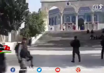 تقرير | توتر بالمسجد الأقصى جراء اقتحامات المستوطنين خلال شهر رمضان