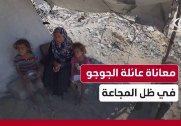 مراسل فلسطين اليوم خميس أبو حصيرة ينقل معاناة أم هاشم الجوجو من غزة