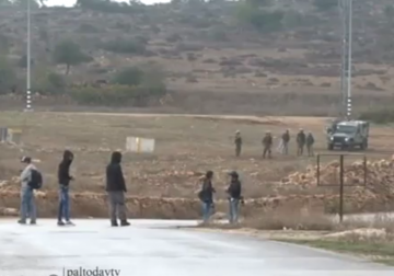 تقرير| سلطات الاحتلال تمنع الناشط السويدي بنيامين لادرا من دخول الأراضي الفلسطينية