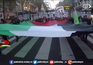 تقرير | تظاهرات ضخمة في دول لاتينية تنديداً بالمجزرة الإسرائيلية بقطاع غزة