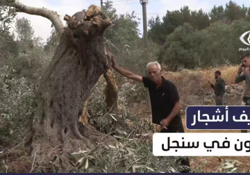 الاحتلال يجرف أراض زراعية ويقتلع أشجار زيتون ببلدة سنجل شمال #رام_الله