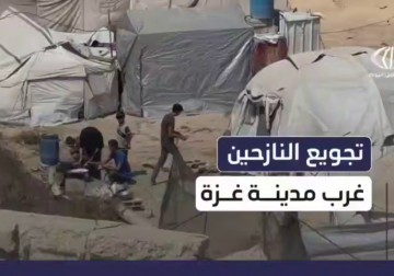 أوضاع إنسانية صعبة للنازحين في غرب مدينة #غزة في ظل حالة التجويع التي يشهدها القطاع