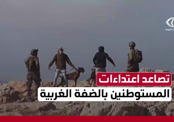 تصاعد غير مسبوق لهجمات المستوطنين بالضف تقوده ميليشيات لتهجير الفلسطينيين