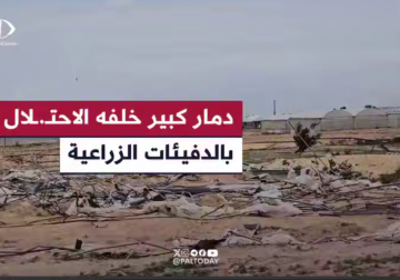 #تقرير | في محاولة لتدمير الأراضي التي تعتبر السلة الغذائية لـ #قطاع_غزة.. مراسل فلسطين اليوم محمد منصور يرصد آثار الدمار الإسرائيلي الكبير بالدفيئات الزراعية في المناطق الشمالية الغربية لمدينة رفح