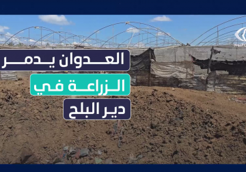 #تقرير| مراسل قناة فلسطين اليوم أنس بركة ينقل المعاناة التي أثرت على القطاع الزراعي بفعل العدوان المستمر على قطاع غزة