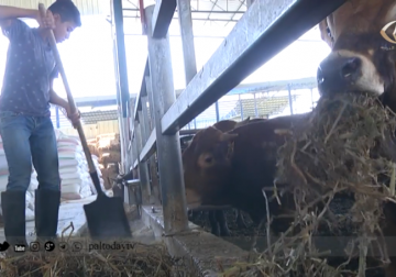 تقرير | عزوف غير مسبوق عن شراء الأضاحي رغم اقتراب حلول العيد