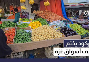  مراسل فلسطين اليوم يرصد حالة الركود في أسواق #غزة رغم إدخال البضائع