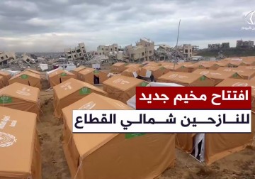 افتتاح مخيم للنازحين في مدينة الشيخ زايد لاستقبال أهالي القطاع الذين فقدوا منازلهم.