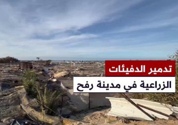 دمار هائل يلحق بالأراضي والدفيئات الزراعية في رفح جنوب قطاع غزة ويهدد الأمن الغذائي للمنطقة