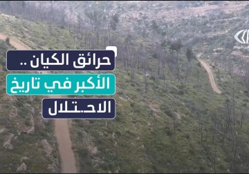 حرائق هائلة تلتهم نحو 24 ألف دونم وتصيب 17 رجل إطفاء