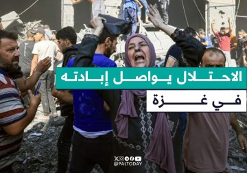  تواصِلُ قواتُ الاحتلالِ غاراتِها لليومِ الرابع عشرَ على التوالي من بعد استئنافِ العدوان، وفي ثاني أيام عيد الفطر ، استشهد عدد من المواطنين جراء القصف الجوي والبري على جنوب قطاع غزة. 