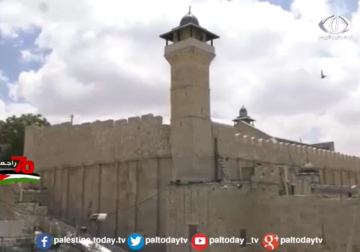 تقرير | الخليل .. المدينة التي لا يجوع فيها أحد بفضل التكية الإبراهيمية