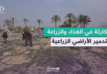 مراسل فلسطين اليوم توثق الدمار الكبير في الأراضي الزراعية شرق دير البلح