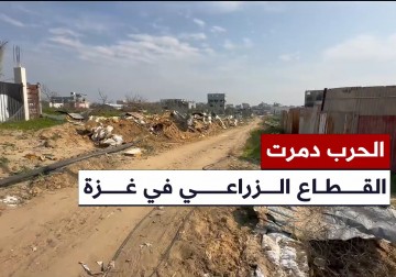 الخسائر الفادحة التي لحقت بالقطاع الزراعي في بلدة بيت لاهيا شمال قطاع غزة