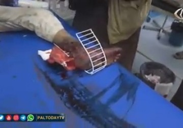 ارتفاع ضحايا مجزرة محافظة الجوف إلى 35 جلهم من النساء والأطفال في اليمن تقرير: فاطمة إبراهيم