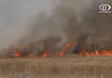 تقرير| الطائرات الورقية الحارقة تربك سلطات الاحتلال وتفزع المستوطنين‎ ‎ 