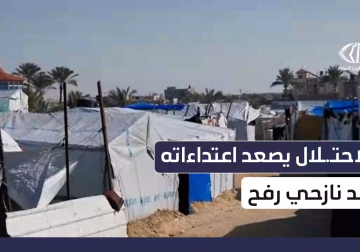 مراسل فلسطين اليوم يرصد تصاعد الانتهاكات بحق النازحين في مواصي رفح 