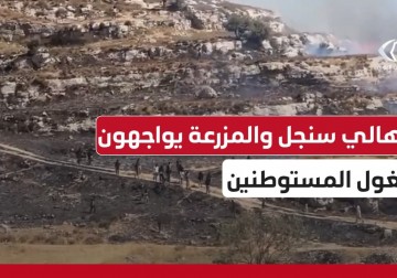 أهالي بلدة سنجل والمزرعة الشرقية يواجهون تغول المستوطنين