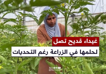 قصة غيداء قديح التي تحدت الحصار والدمار لتحقق حلمها في يوم المرأة العالمي.