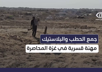 واصل كثير من أهالي غزة جمع الحطب والبلاستيك لتأمين قوت يومهم في مهنة فرضتها الحاجة