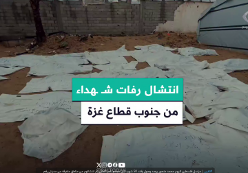 #تقرير | مراسل فلسطين اليوم محمد منصور يرصد وصول رفات 50 شهيدا إلى مجمع ناصر الطبي تم انتشالهم من مناطق متفرقة من مدينتي رفح وخانيونس جنوبي قطاع غزة