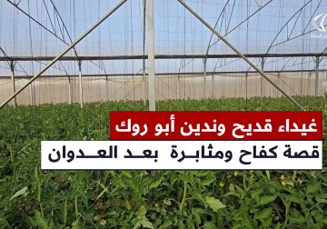 قصص كفاح من وسط الدمار شرق خانيونس 