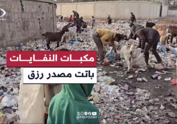 مكبات النفايات باتت مصدر رزق للكثيرين .. مراسل فلسطين اليوم أسامة الدحدوح يوثق عملية بحث الأطفال في منطقة الزوايدة وسط القطاع عن الأوراق والبلاستيك لاستخدامه في طهي الطعام