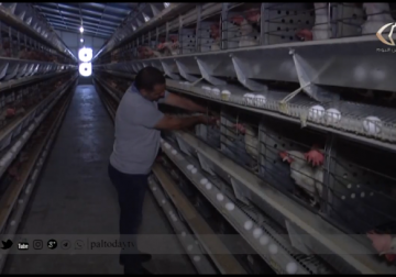 تقرير | وزارة المالية تقتطع 25% من قيمة ضريبة الدخل من المزارعين بشكل غير قانوني