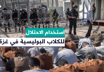 الكلاب البوليسية تنهش الأحياء في غزة ...  مراسل عماد دلول يوثق معاناة فلسطينية عذبها الاحتلال بواسطة الكلاب البوليسية