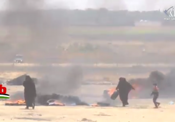 تقرير| المتظاهرون في غزة يقدموا عشرات اللوحات البطولية رغم قلة الإمكانيات - فاطمة إبراهيم ‏.mp4