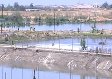 الاحتلال يستغل 85% من الثروة المائية الفلسطينية – 13 – 5 – 2015 – فاتن الصالح