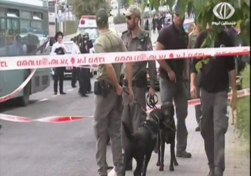 إصابة مجندة و3 مستوطنين في عملية طعن بتل أبيب واستشهاد منفذها ثائر أبو غزالة - 8 - 10 - 2015 - ليال خروبي