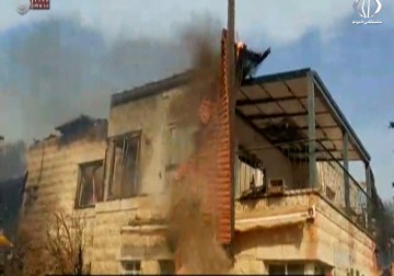 الحرائق تكشف عجز الكيان الإسرائيلي في التعامل مع الكوارث - فاطمة إبراهيم - 24 - 11 - 2016