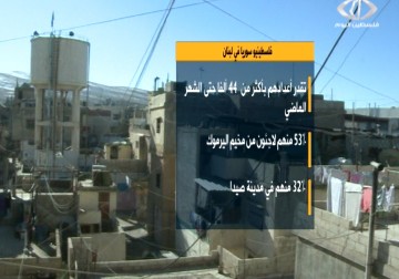 تقرير حول أوضاع المهجرين الفلسطينين من سوريا إلى لبنان – 23 – 2 – 2015 – نورا المشهراوي