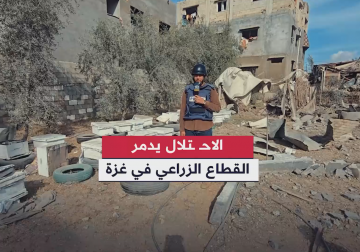 الاحتلال يدمر كافة مقومات القطاع الزراعي في قطاع غزة 