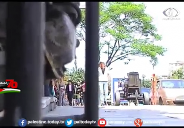 تقرير | وزارة الحكم المحلي في غزة تحذر من كارثة بيئية بسبب تلوث مياه البحر