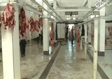 إرتفاع كبير بأسعار الأضاحي بالضفة الغربية - 25 - 9 - 2015 - فداء نصر