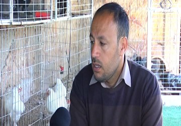 حمزة دراج يحول هوايته بتربية طيور الزينة إلى مهنة يترزق منها