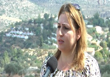 الالاف العائلات تحرم من قطف الزيتون في موعده بسبب اجراءات الاحتلال - رغدة عتمة - 15 - 10 - 2016