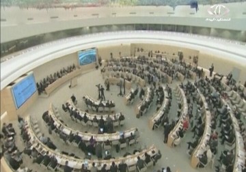 منظمة العفو الدولية تتهم كيان الاحتلال بجرائم حرب في قطاع غزة - 9 - 12 - 2014 - فاطمة ابراهيم