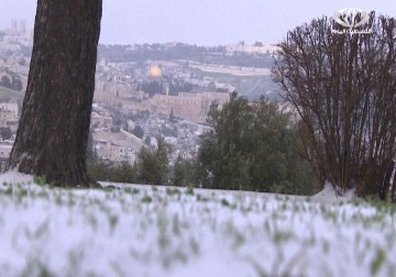 العاصفة هدى تتسبب بأضرار في كافة الأراضي الفلسطينية- 8 - 1 - 2015 - إمتثال هنداوي