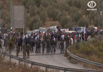 مستوطنون يشنون سلسلة اعتداءات على المواطنين في الضفة والاراضي المحتلة العام - 9 - 10 - 2015 - أماني الحسين