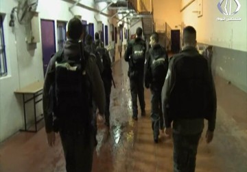 تقرير| نادي الأسير: مصلحة السجون تصادر الملح من زنازين الاسرى وتمنعهم من اقامة الصلاة