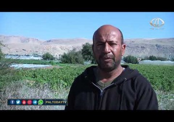 الضفة الغربية_ سلطات الاحتلال تتعمد قطع التيار الكهربائي عن تجمع أبو العجاج بقرية الجفتلك في أريحا