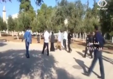 مجموعة من المستوطنين تقتحم ساحات المسجد الأقصى المبارك - 2 - 11 - 2015 - نورا المشهرواي