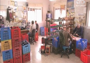 الإحصاء الفلسطيني: انخفاض معدل البطالة من 32% إلى 29% نهاية 2014 - 12 - 2 - 2015 - فاتن الصالح