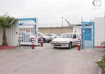 استشهاد الأسير المريض محمد الجلّاد متأثرًا بجراحه - آمنة الأشقر 