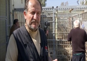 متطوعون يقدمون الرعاية لدب وأسد بقيا على قيد الحياة في حديقة المدينة -   بلال الطبعوني